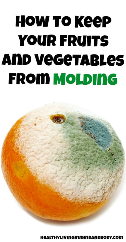 The Best Ways To Keep Your Food From Growing Mold