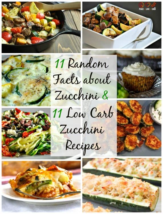 11 Random Facts About Zucchini and 11 Low Carb Zucchini Recipes