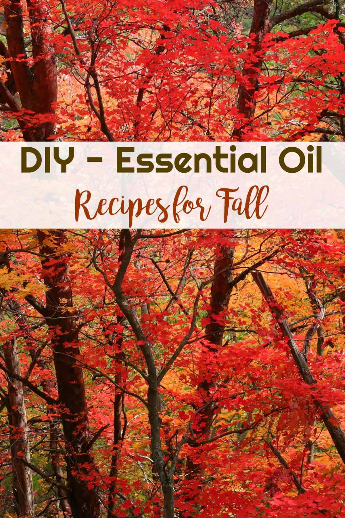 DIY - Essential Oil Recipes for Fall | Healthy Living in Body and Mind