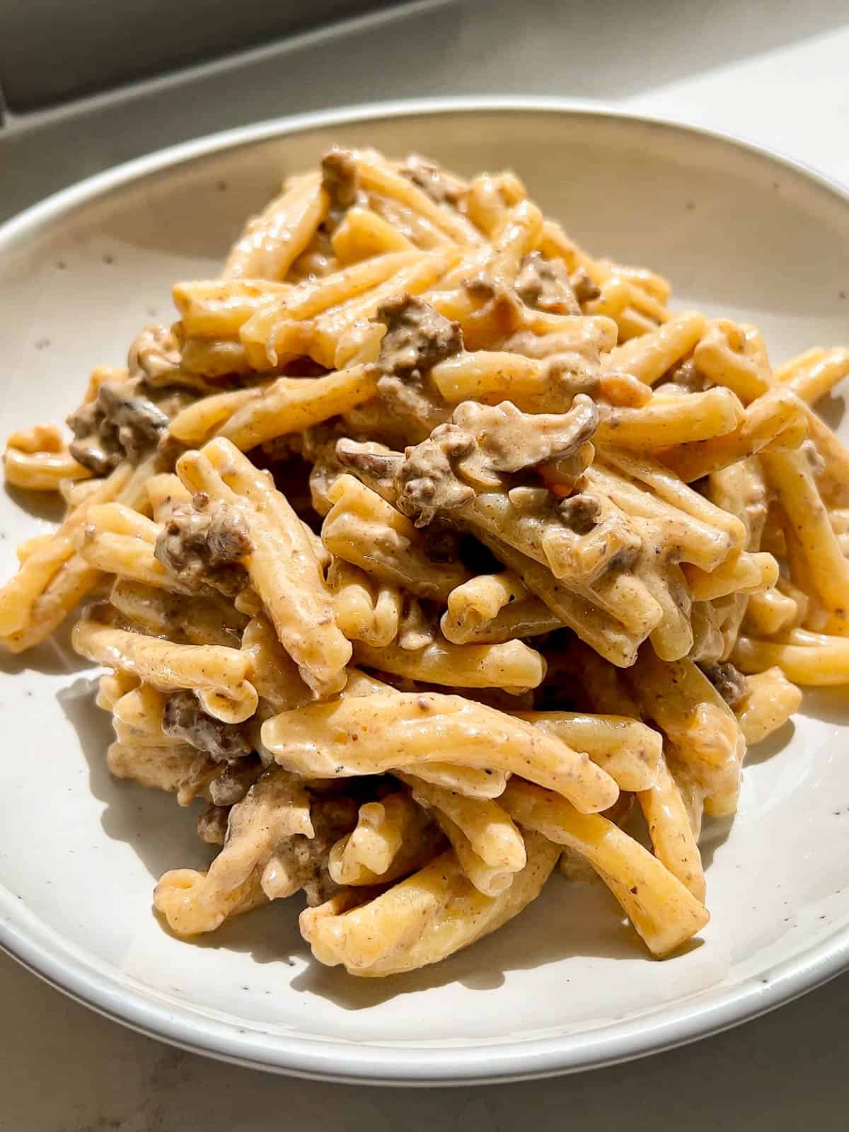 a ceramic bowl with a pasta dish made with ground beef, mushrooms, onions, and a sour cream sauce.